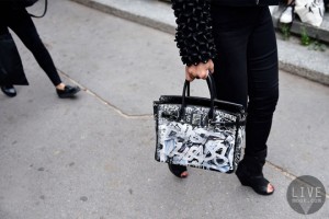 the-best-worst-and-craziest-street-style-bags-from-fashion-month-15