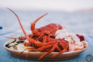 Lobster, Bruny Island, TAS
