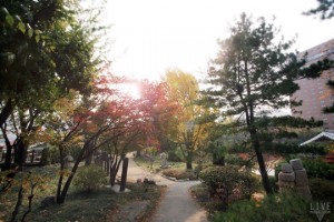The Shilla Seoul_Sculpture Garden