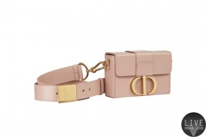 30-Montaigne-Box-In-Rose-Des-Vents-Color-Smooth-Box-Calfskin-And-Oversize-CD-Lock-HK-25500_img_1040_780